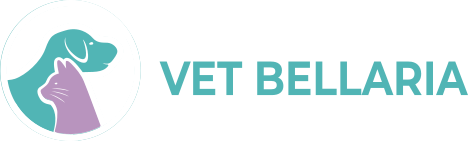 Ambulatorio Veterinario Bellaria